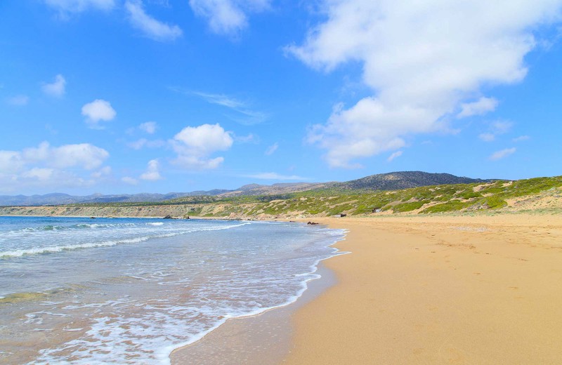 peyia_cyprus.jpg
