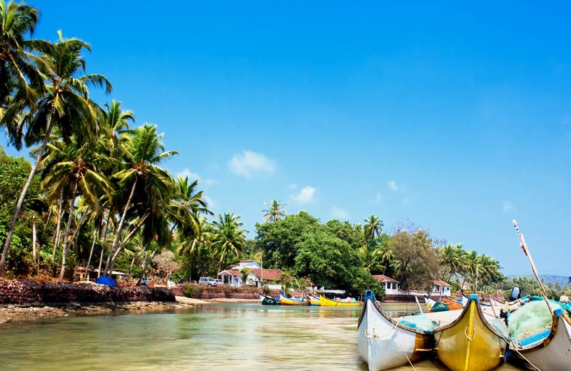 Baga Beach_GOA.jpg