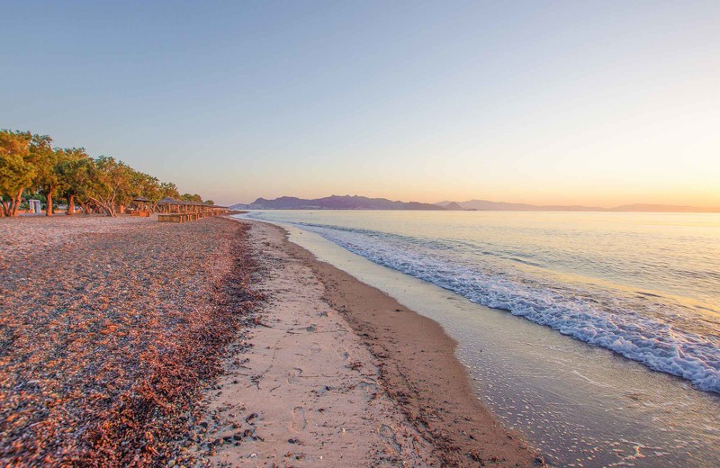 lambi_kos_greece.jpg