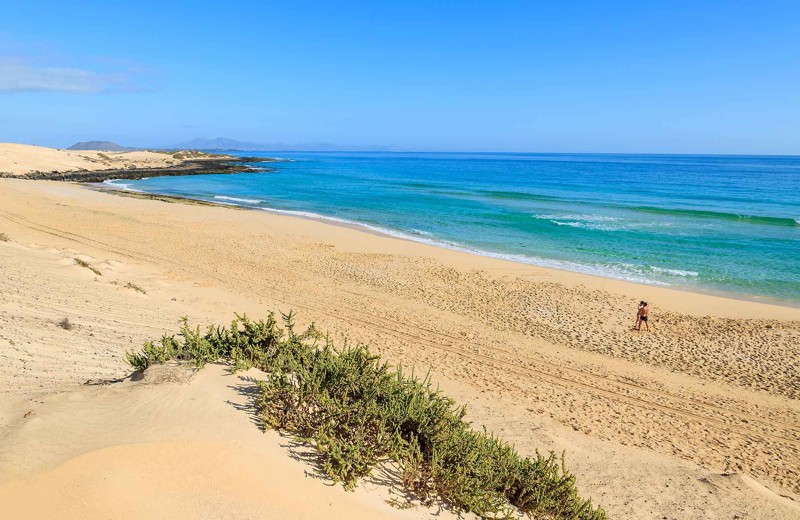 corralejo_fuerteventura_canary-islands.jpg