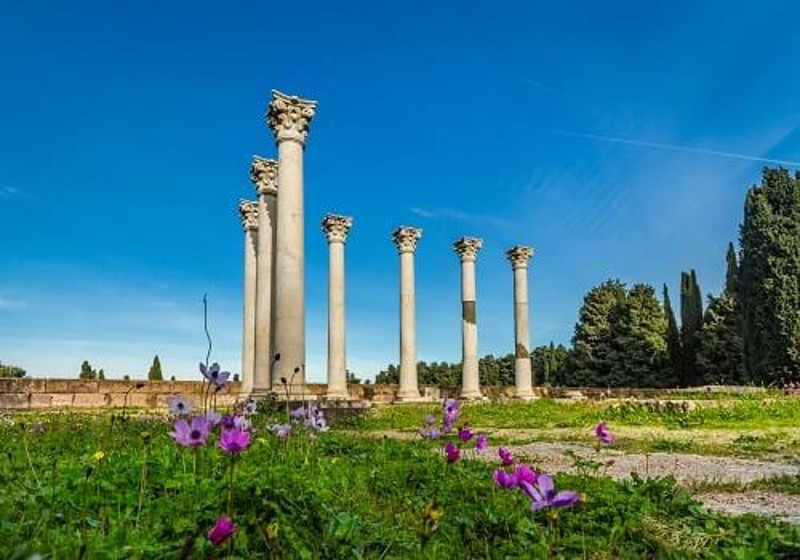 shutterstock_554699602_asklepieion_kos_greece.jpg