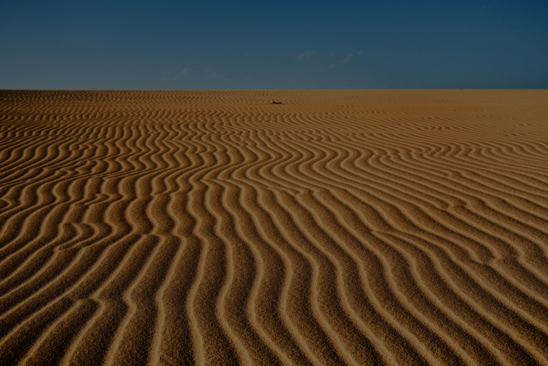 fuerteventura sand dunes.jpg (1)