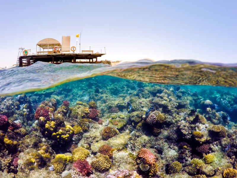 Safaga Egypt
