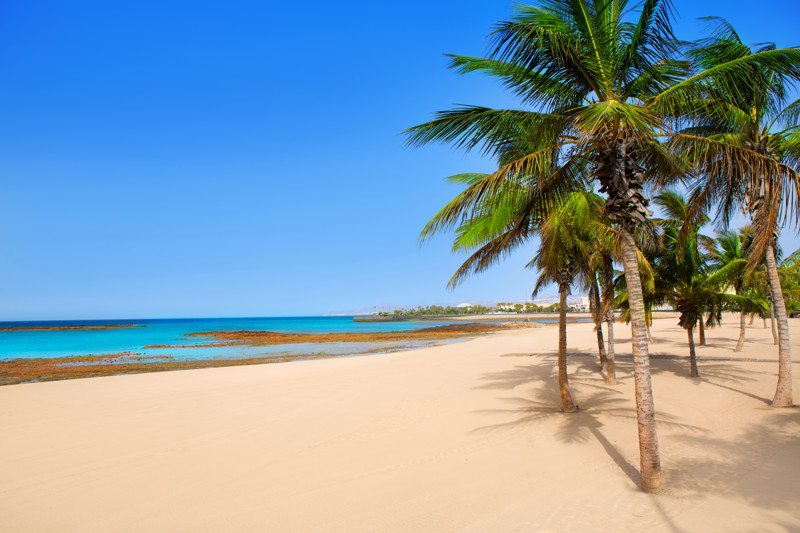 Shutterstock 112776001 Playa Reducto Beach Lanzarote Canary Islands