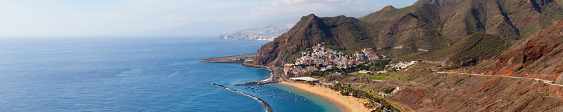 Canaries (1)
