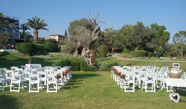 18 St Raphael Limassol Cyprus Olive Tree Ceremony Area Olympic Weddings